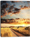 Cloudy African Prairie with Pathway - Extra Large Landscape Canvas Art