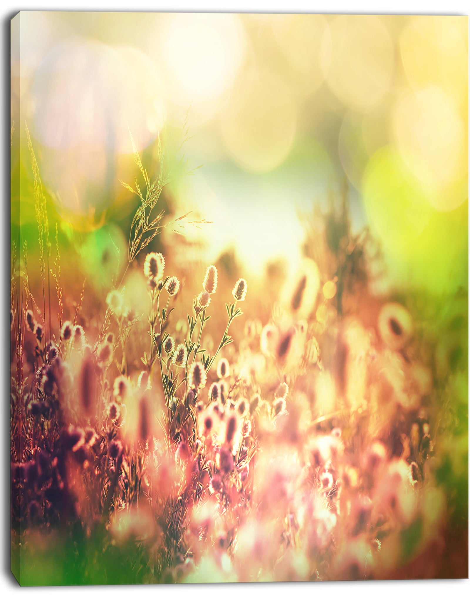 Cute Summer Flowers on Meadow - Floral Artwork on Canvas