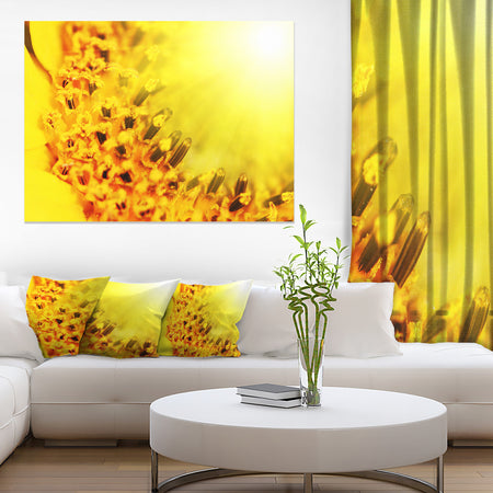Bright Yellow Sunflower Close-Up - Floral Artwork on Canvas