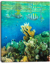 Fantastic Red Sea Coral Fish - Seashore Wall Art Print