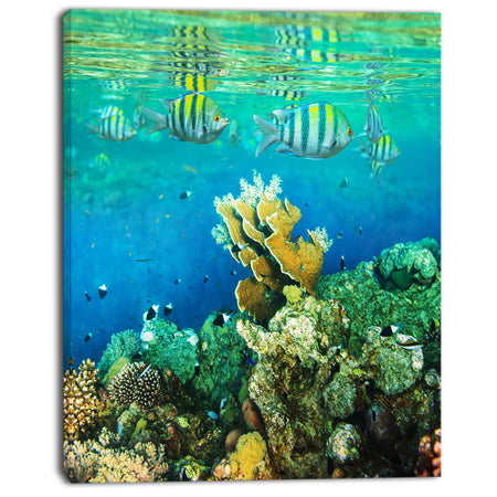 Fantastic Red Sea Coral Fish - Seashore Wall Art Print