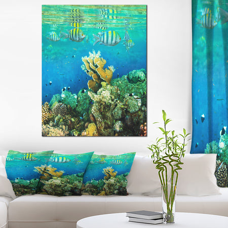 Fantastic Red Sea Coral Fish - Seashore Wall Art Print