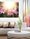 Large Pink Flowers with Sunlight - Large Flower Wall Artwork