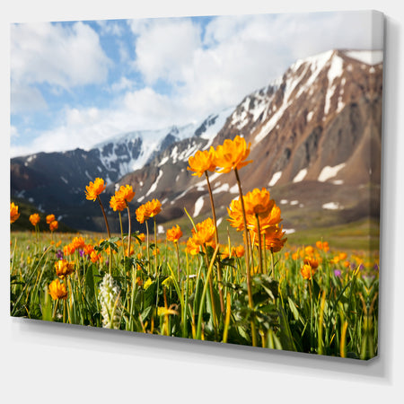 Mountain Meadow with Yellow Flowers - Large Flower Wall Artwork