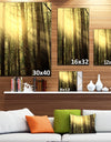 Dense Green Sunny Forest - Landscape Art Print Canvas