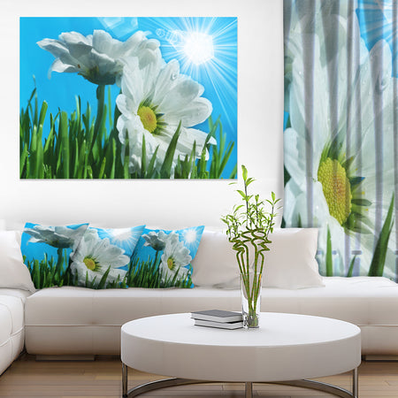 Beautiful Chamomiles in Bright Sunlight - Modern Flower Canvas Art Print
