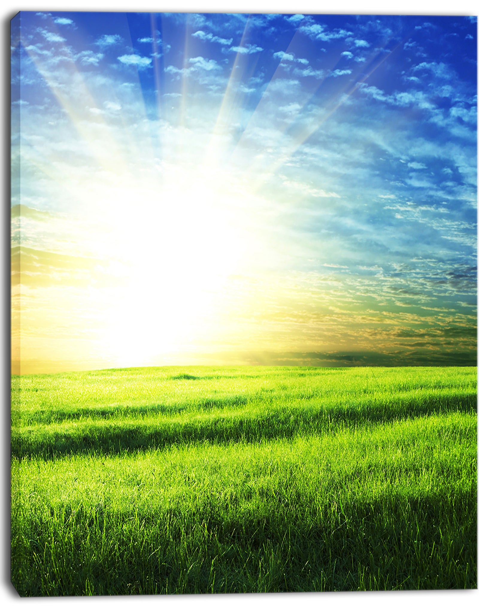 Bright Green Field At Sunrise - Oversized Landscape Canvas Art