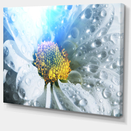 Large White Flower with Raindrops - Modern Flower Canvas Art Print