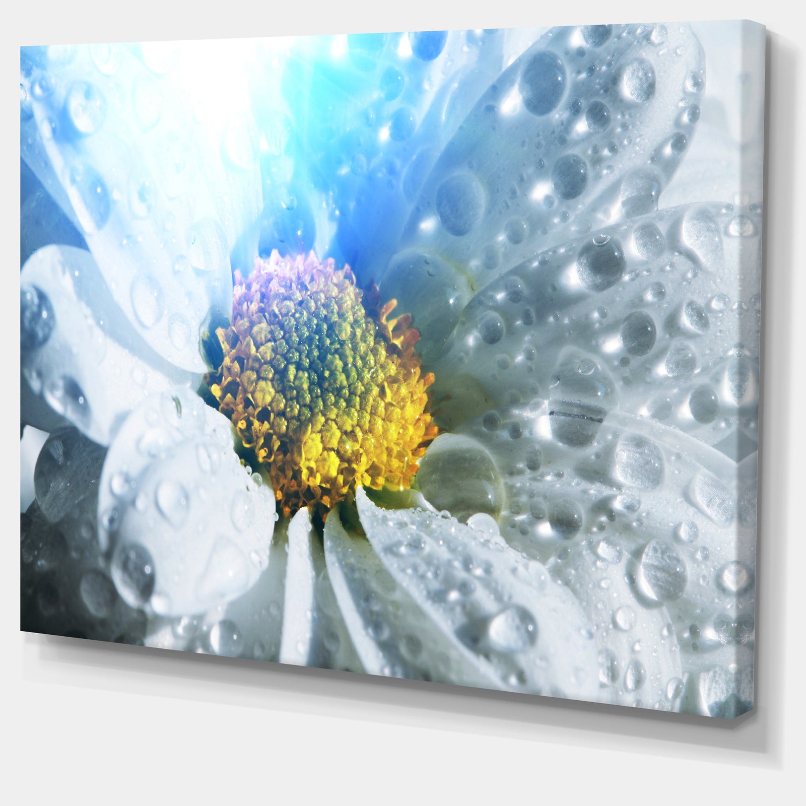 Large White Flower with Raindrops - Modern Flower Canvas Art Print