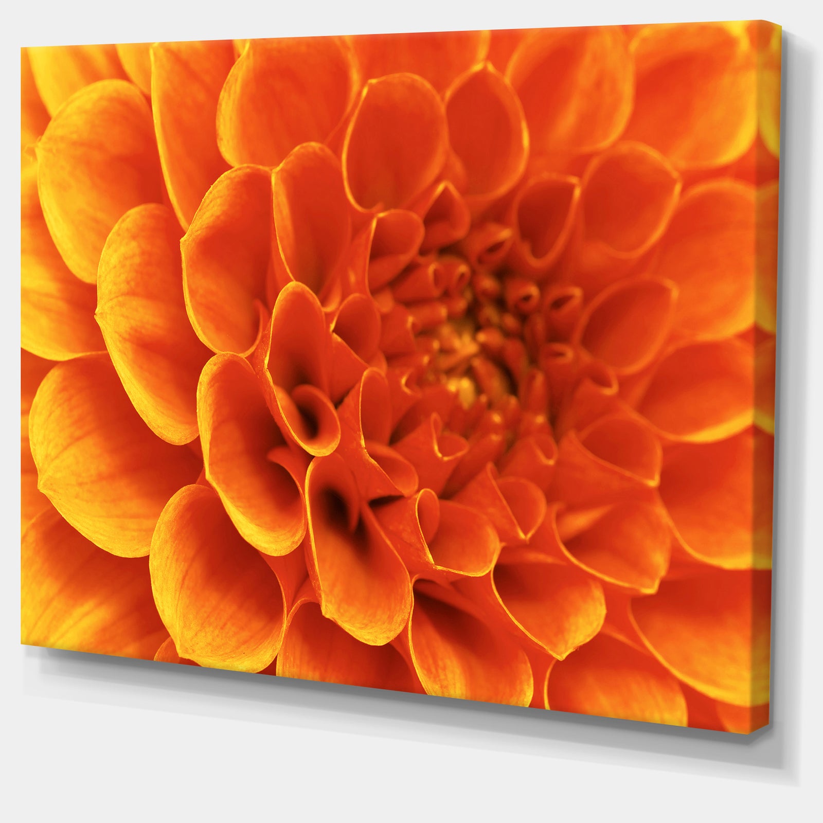 Large Orange Flower and Petals - Floral Canvas Art Print