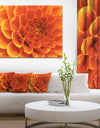 Large Orange Flower and Petals - Floral Canvas Art Print