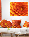 Large Orange Flower and Petals - Floral Canvas Art Print