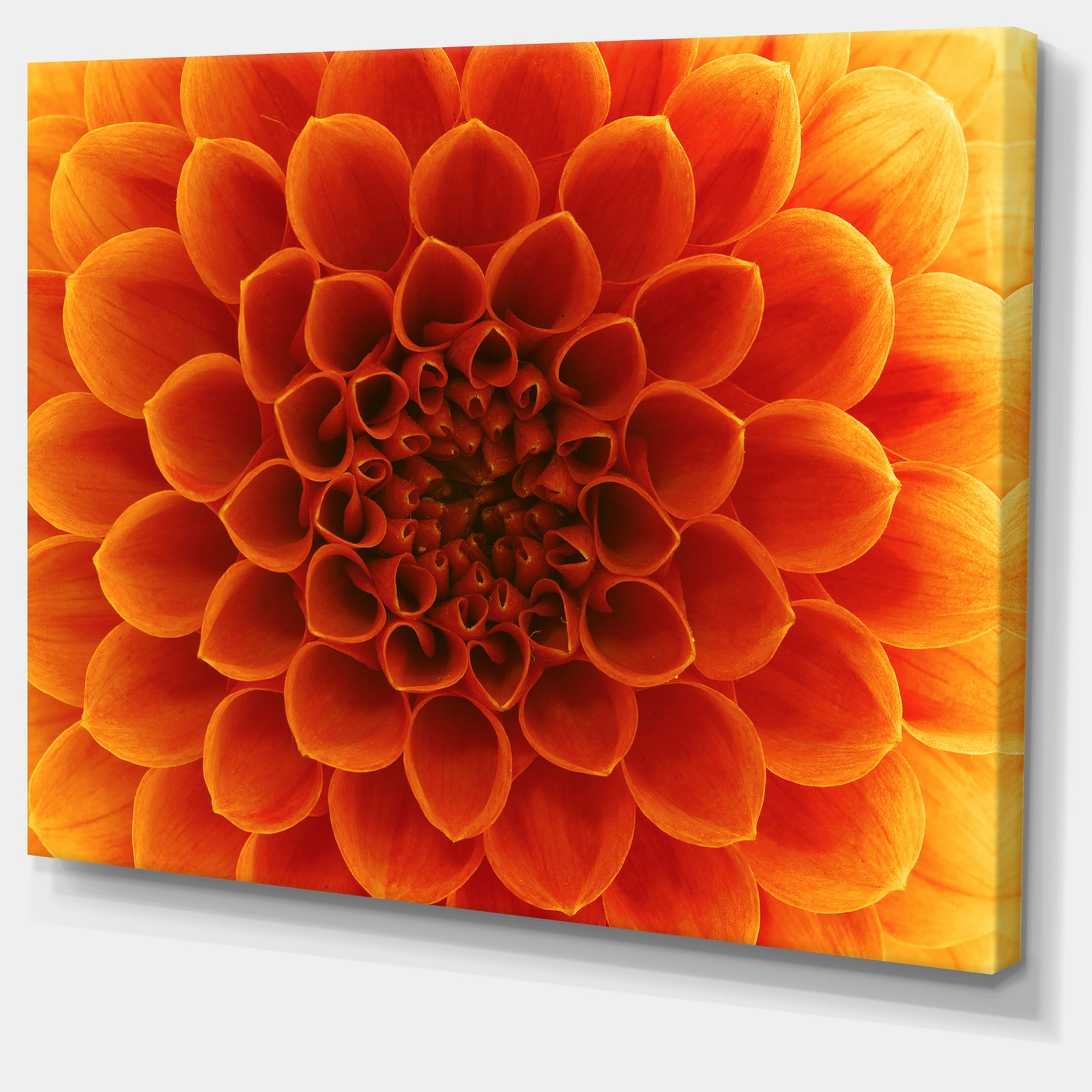 Large Dark Yellow Flower and Petals - Modern Floral Canvas Wall Art