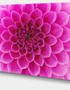 Large Pink Flower and Petals - Modern Floral Canvas Wall Art