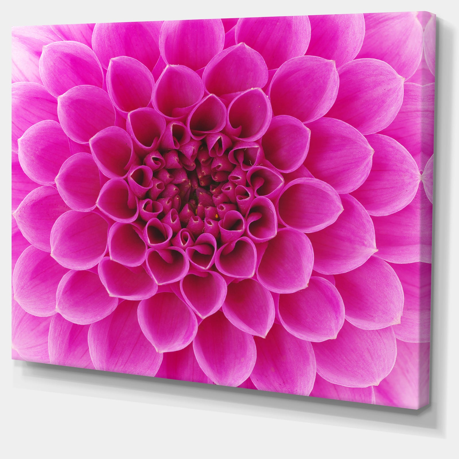 Large Pink Flower and Petals - Modern Floral Canvas Wall Art