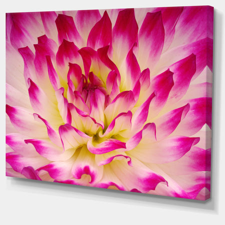 Smooth Purple White Flower Petals - Modern Floral Canvas Wall Art