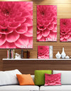 Soft Rose Abstract Flower Petals - Modern Floral Canvas Wall Art