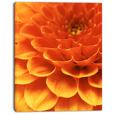Dark Abstract Yellow Flower Petals - Modern Floral Canvas Wall Art