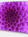 Light Purple Abstract Flower Petals - Modern Floral Canvas Wall Art