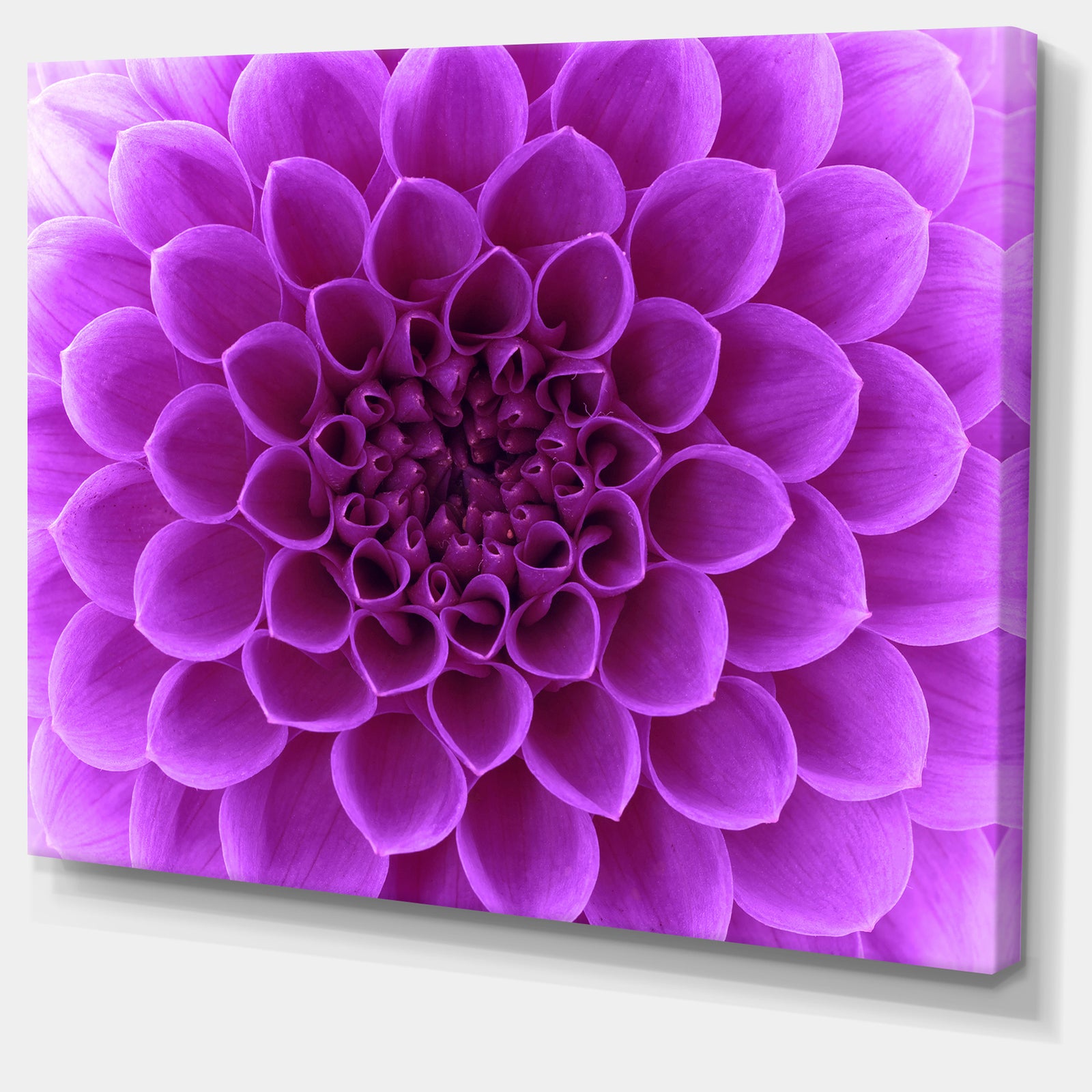 Light Purple Abstract Flower Petals - Modern Floral Canvas Wall Art