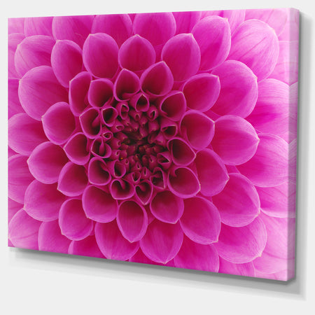 Dark Pink Abstract Flower Petals - Modern Floral Canvas Wall Art