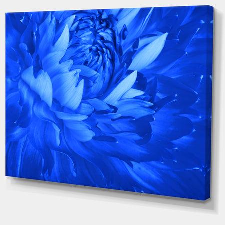 Bright Blue Flower Petals - Modern Floral Canvas Wall Art