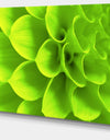 Bright Green Flower Petals - Modern Floral Canvas Wall Art