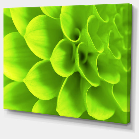 Bright Green Flower Petals - Modern Floral Canvas Wall Art