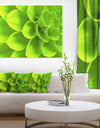 Bright Green Flower Petals - Modern Floral Canvas Wall Art