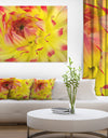 Smooth Yellow Red Flower Petals - Extra Large Floral Canvas Art