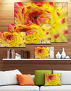 Smooth Yellow Red Flower Petals - Extra Large Floral Canvas Art