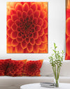 Close-Up Orange Flower Petals - Extra Large Floral Canvas Art