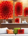 Close-Up Orange Flower Petals - Extra Large Floral Canvas Art