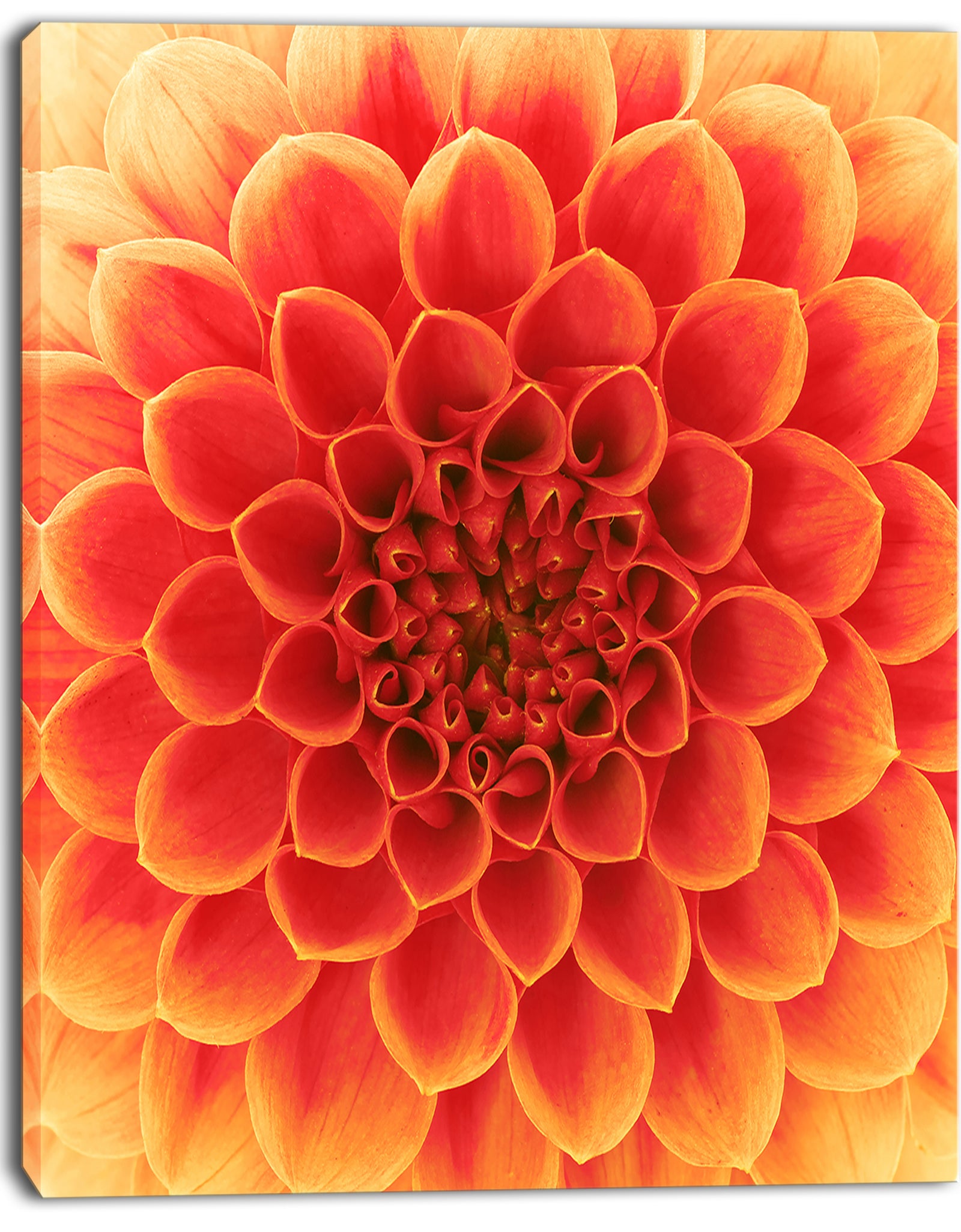 Abstract Orange Flower Design - Extra Large Floral Canvas Art