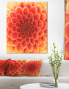 Abstract Orange Flower Design - Extra Large Floral Canvas Art