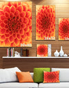 Abstract Orange Flower Design - Extra Large Floral Canvas Art