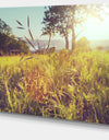 Green Summer Meadow - Landscape Art Print Canvas