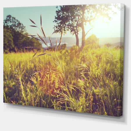 Green Summer Meadow - Landscape Art Print Canvas