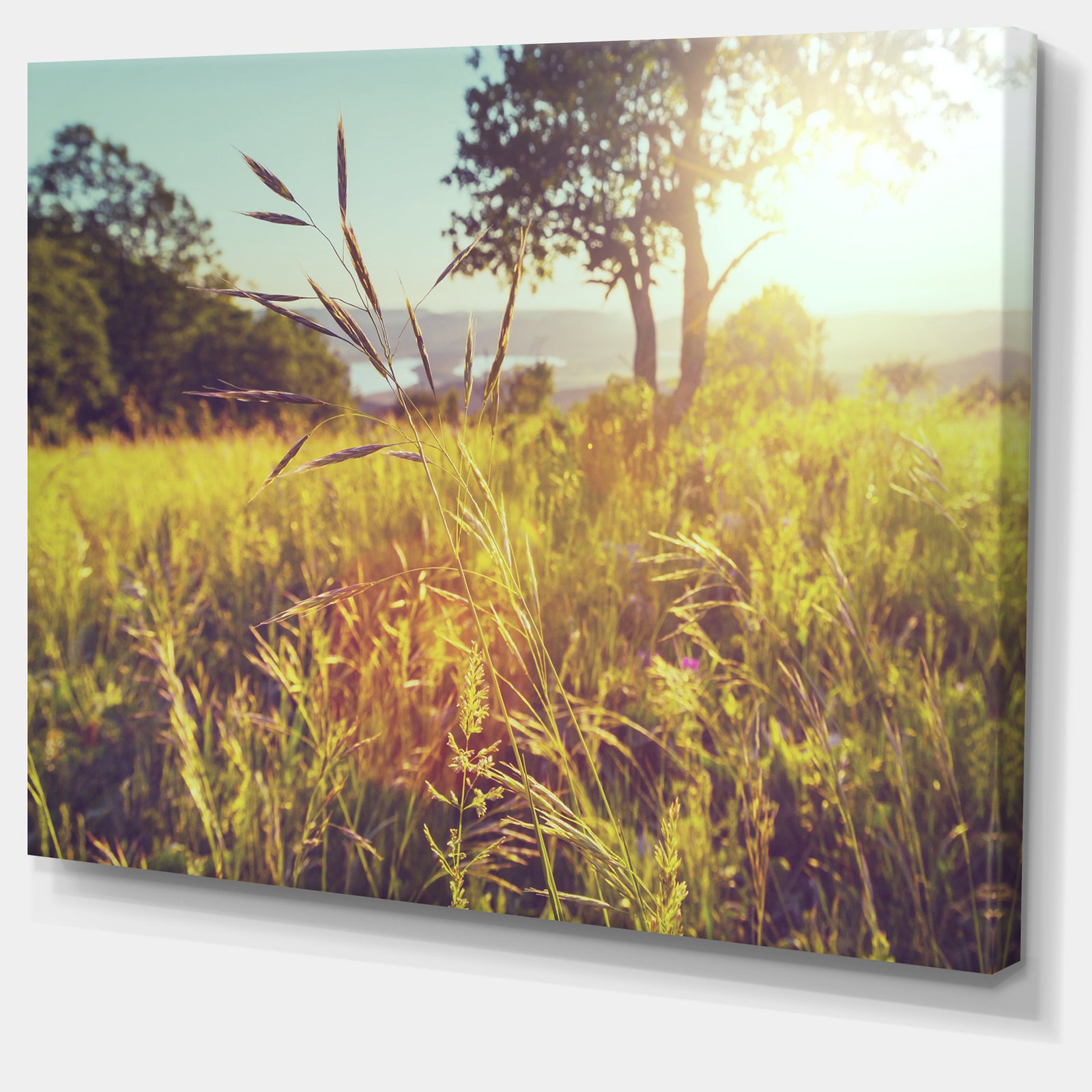 Green Summer Meadow - Landscape Art Print Canvas