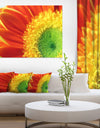 Gerber Daisy Flower Petals - Extra Large Floral Canvas Art