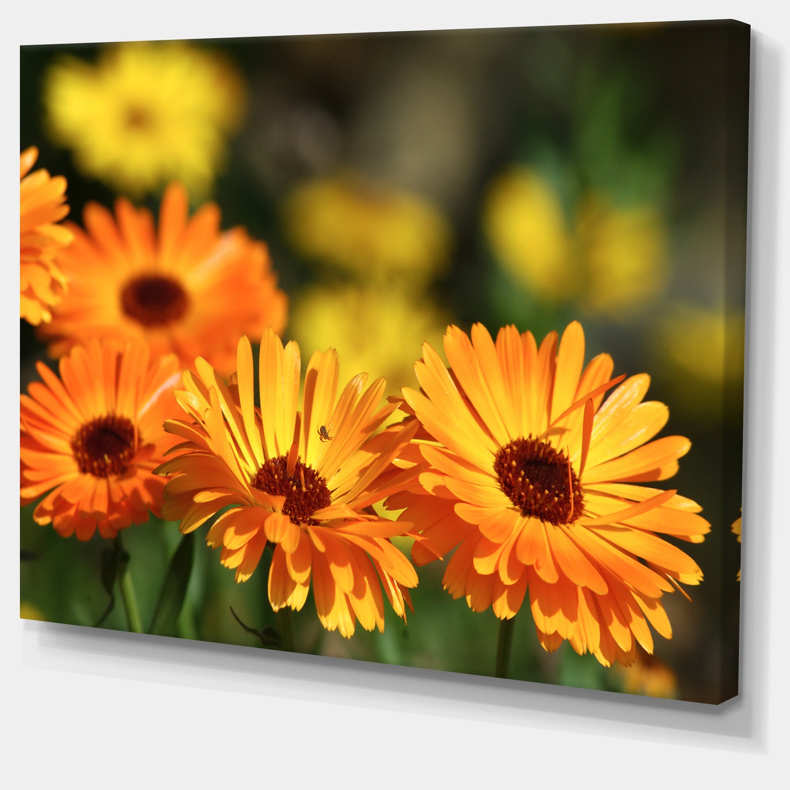 Blooming Orange Marigold Flowers - Extra Large Floral Canvas Art