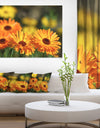 Blooming Orange Marigold Flowers - Extra Large Floral Canvas Art