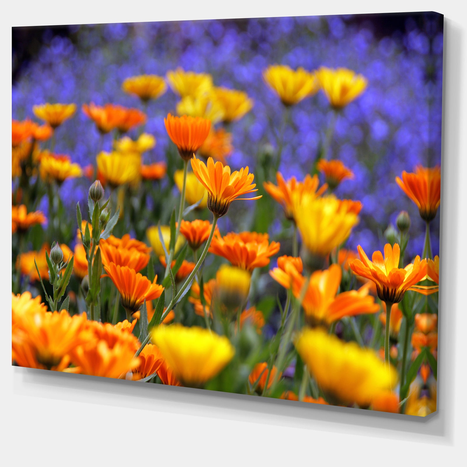 Yellow Orange Flower Garden - Extra Large Floral Canvas Art