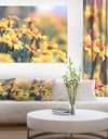 Pale Yellow Marigold Flowers - Extra Large Floral Canvas Art