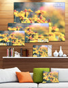 Pale Yellow Marigold Flowers - Extra Large Floral Canvas Art