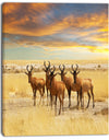 Herd of Antelope in Grassland - Extra Large African Art Print
