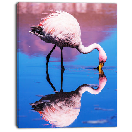Beautiful Food Seeking Flamingo - Extra Large African Art Print