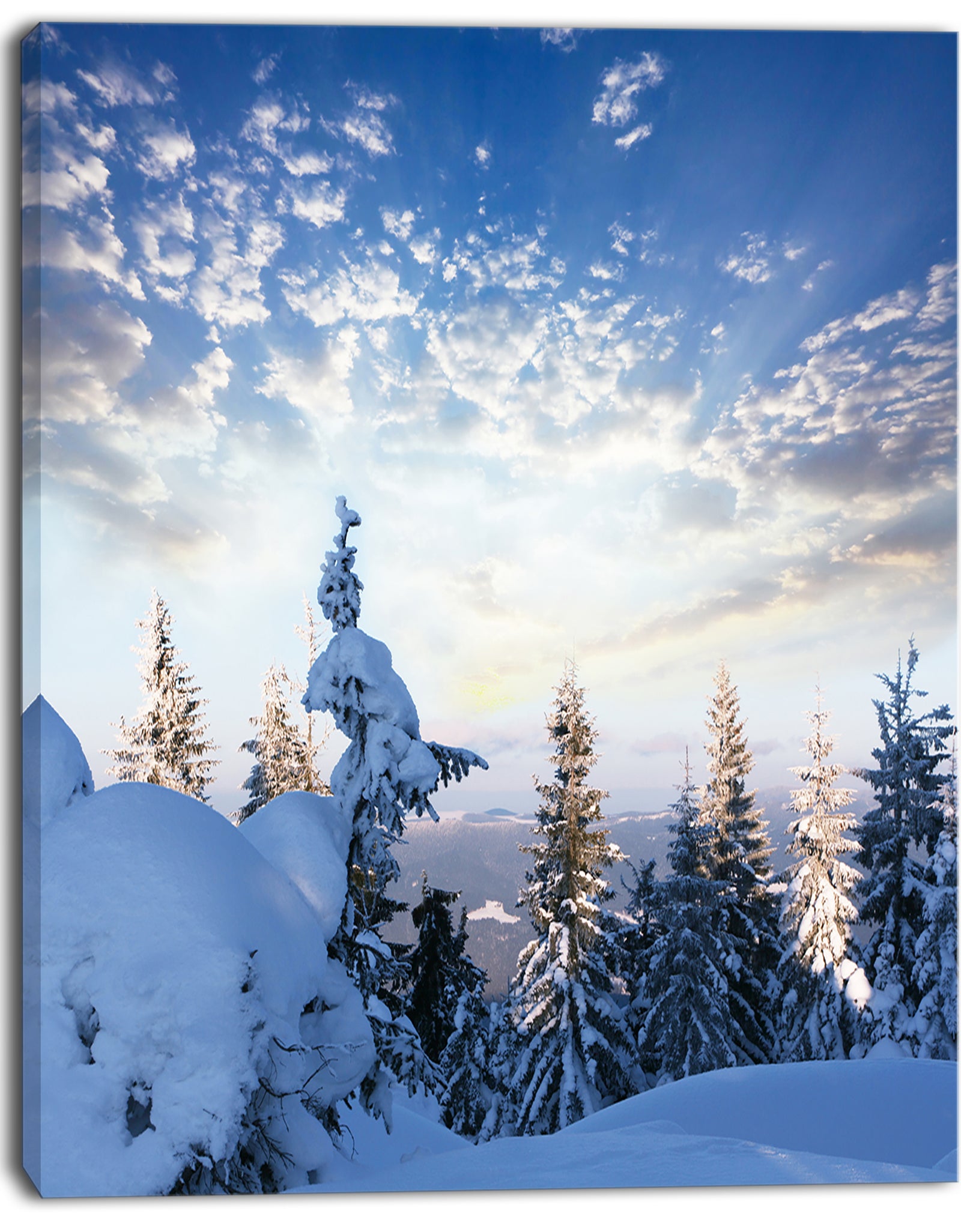 Foggy White Winter Forest - Landscape Print Wall Art