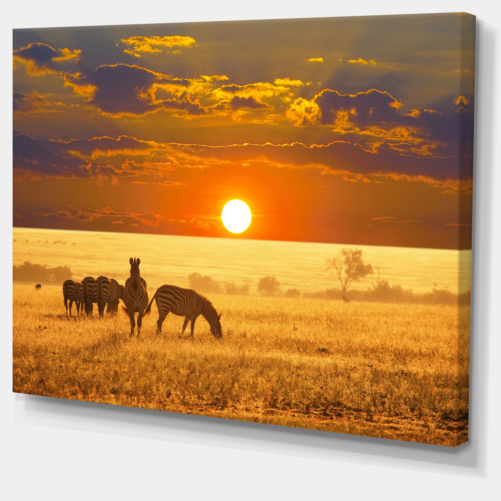 Group of Zebras Grazing At Sunset - Extra Large Animal Art Print