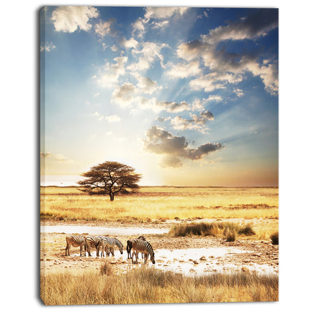 African Zebras Drinking Water - Extra Large African Art Print